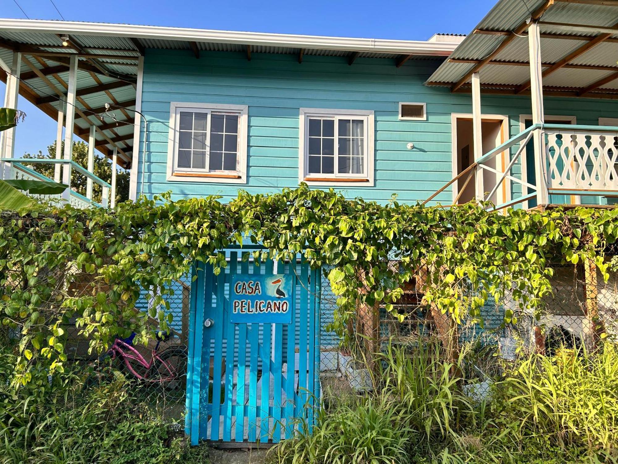 Casa Pelicano Bocas Town Dış mekan fotoğraf