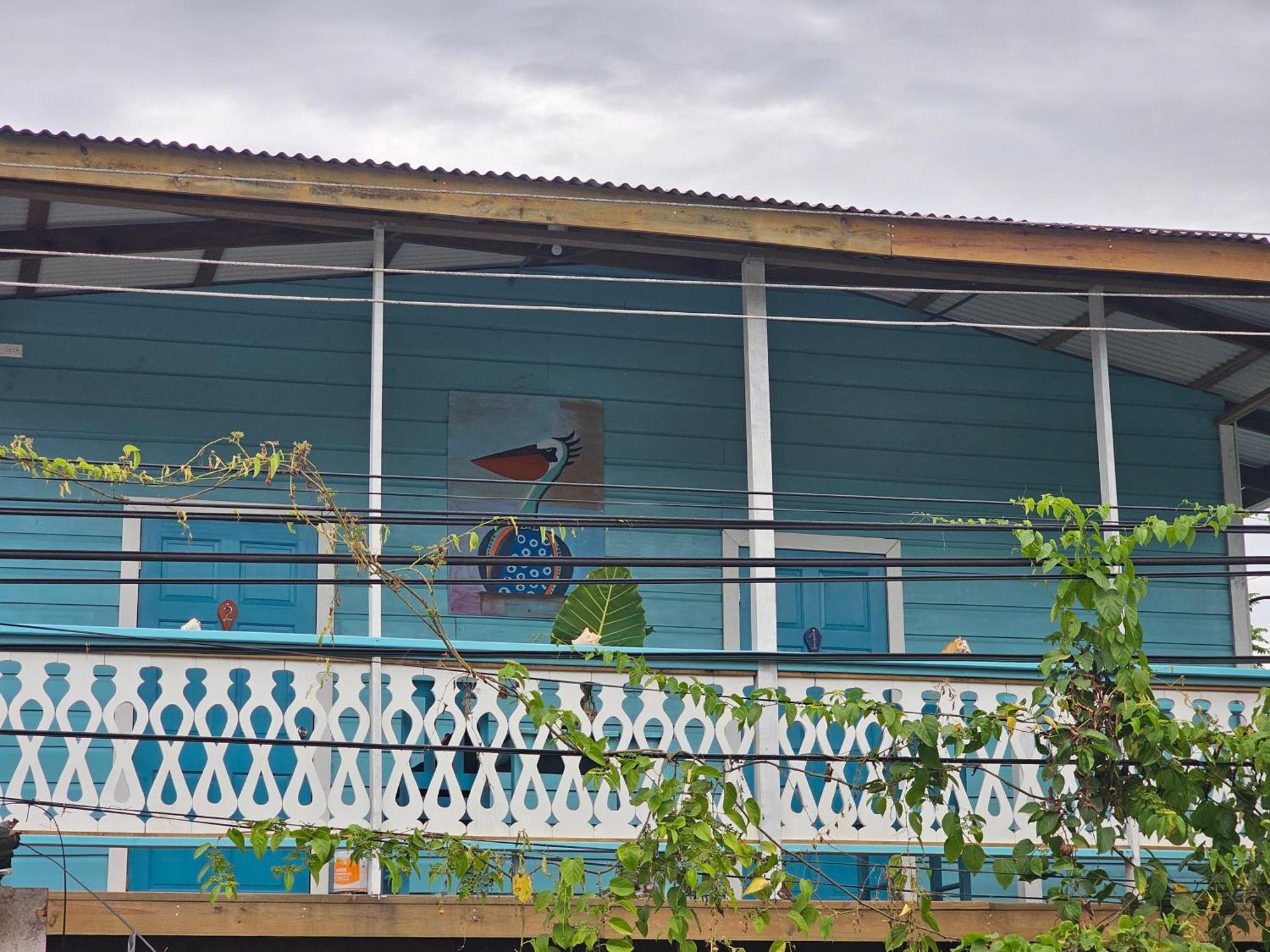 Casa Pelicano Bocas Town Dış mekan fotoğraf