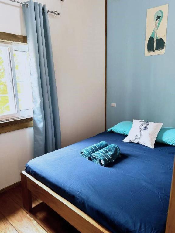 Casa Pelicano Bocas Town Dış mekan fotoğraf